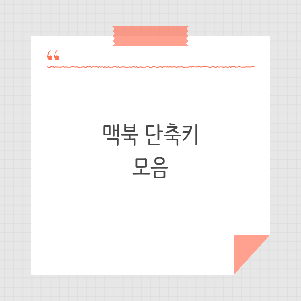 맥북 단춬키 모음