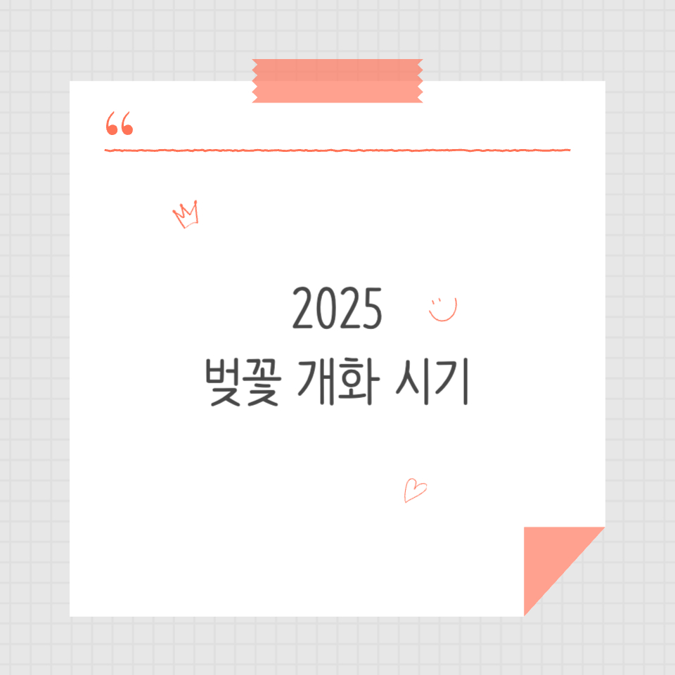 2025 벚꽃 개화 시기