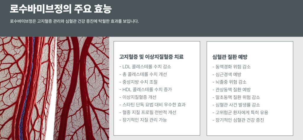 로수바미브정10/5mg효능