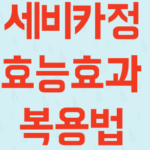 세비카정 썸네일
