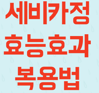 세비카정 썸네일