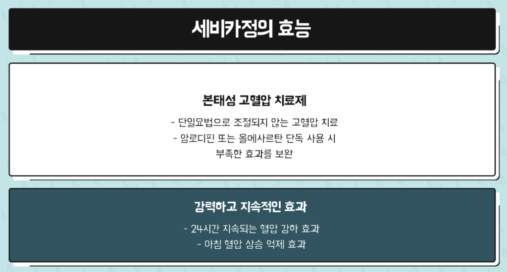 세비카정 효능