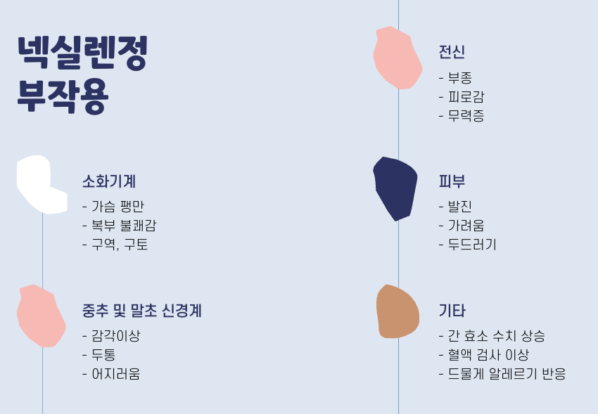 넥실렌정