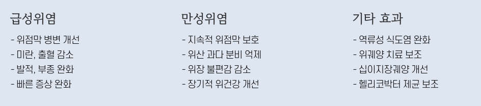 넥실렌정