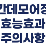 칸데모어정