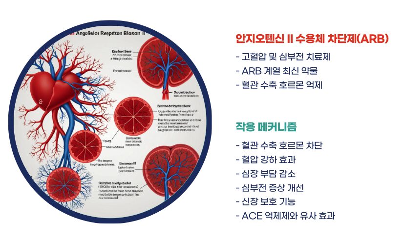 칸데모어정