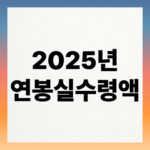 2025년 연봉 실수령액