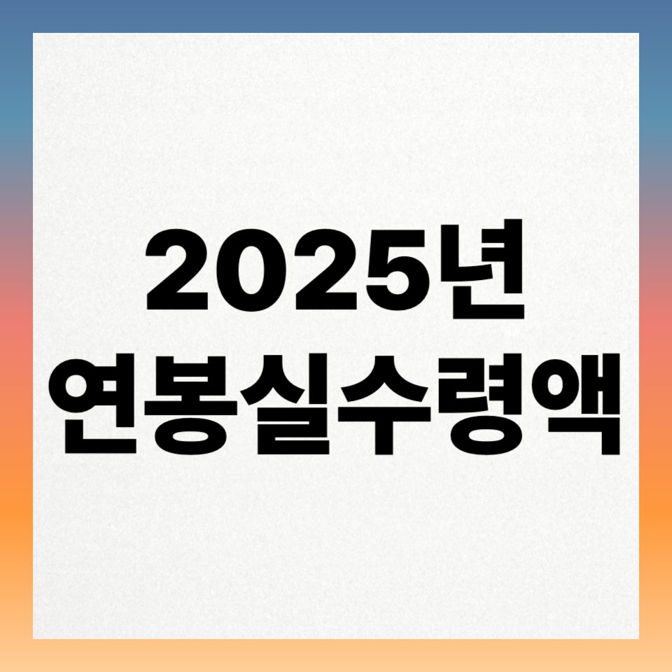 2025년 연봉 실수령액